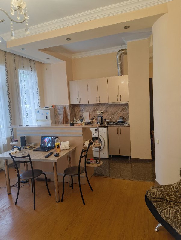 Квартира 1+1 в аренду на Инасаридзе 4