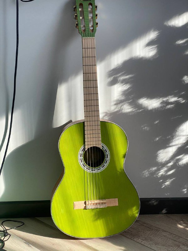 Гитара Valencia, чехол