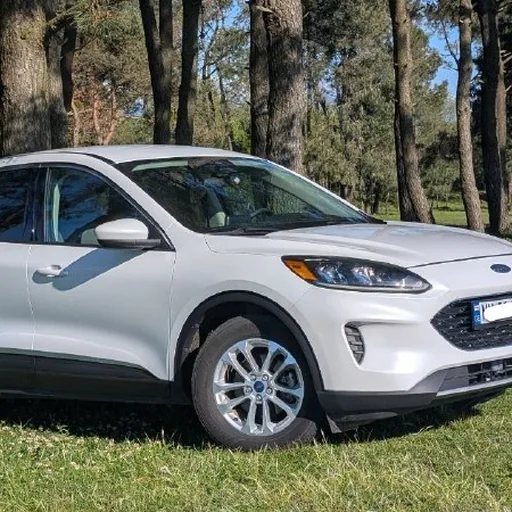 Ford Escape, 2020, 1.5 бензин, полный привод
