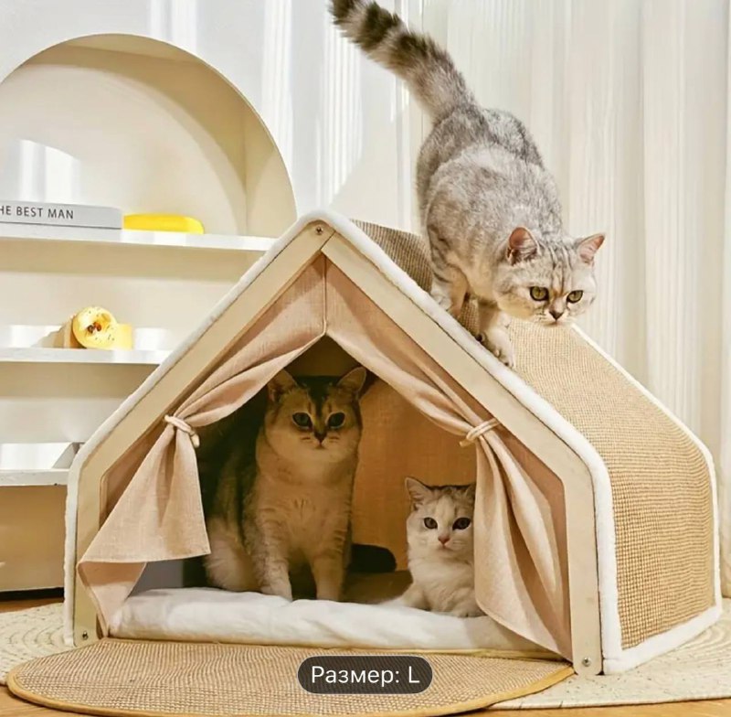 Домик для кошек, лежанка коробок