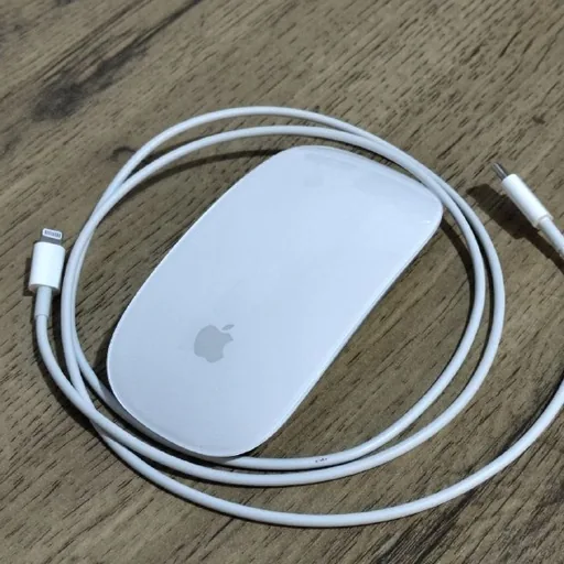 Apple Magic Mouse 2