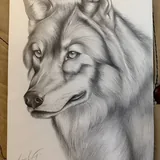 Графические рисунки 1
