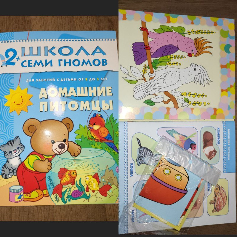 Книги серии Школа семи гномов 2+ с дидактическими материалами 4