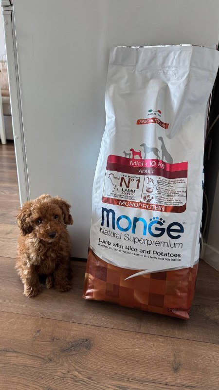 Корм Monge Adult Mini для собак 7.5 кг