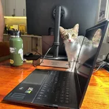 HP OMEN 16 5