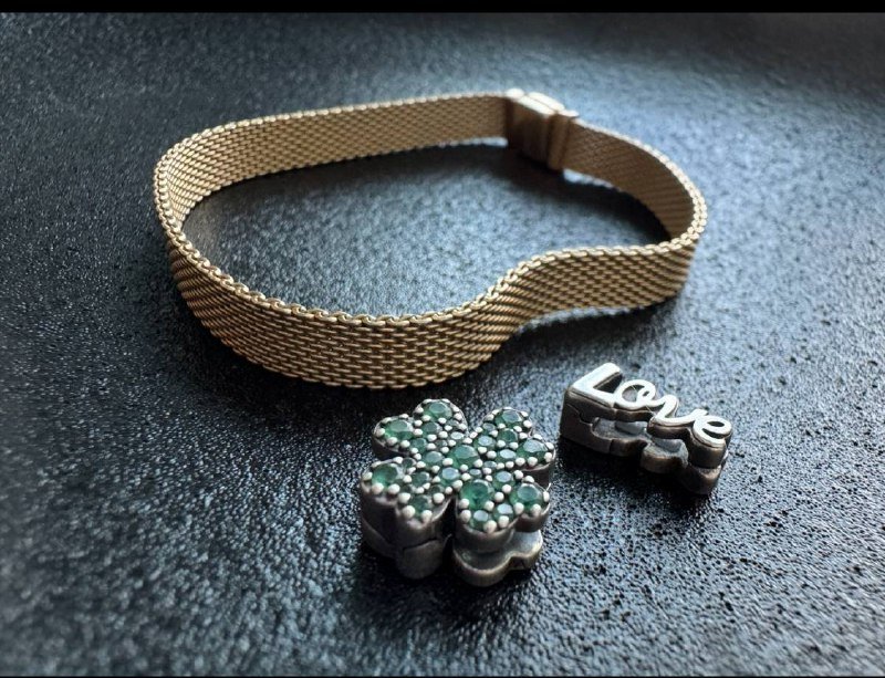 Часы Tissot, часы Invicta, браслеты Pandora, серьги, кольца, парфюм, указка, резиновые сапоги 3