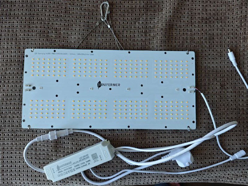 Фитолампы для растений, компьютерные кресла, умный удлинитель, робот-пылесос