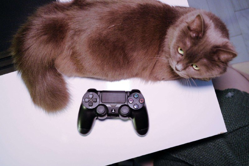 PlayStation 4 Pro 1 TB, контроллер 2