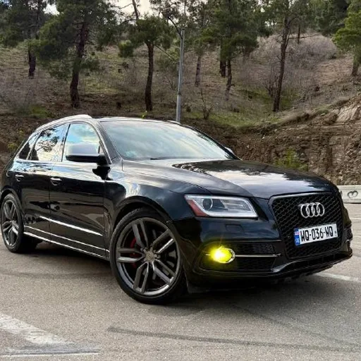 Audi SQ5 2015