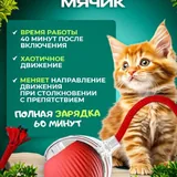 Интерактивные игрушки для кошек и собак, лежанка, когтеточка 2