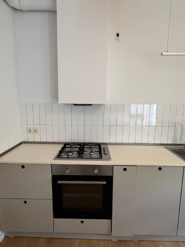 Кухонный гарнитур с варочной поверхностью, духовой печью, посудомойкой, холодильником 5