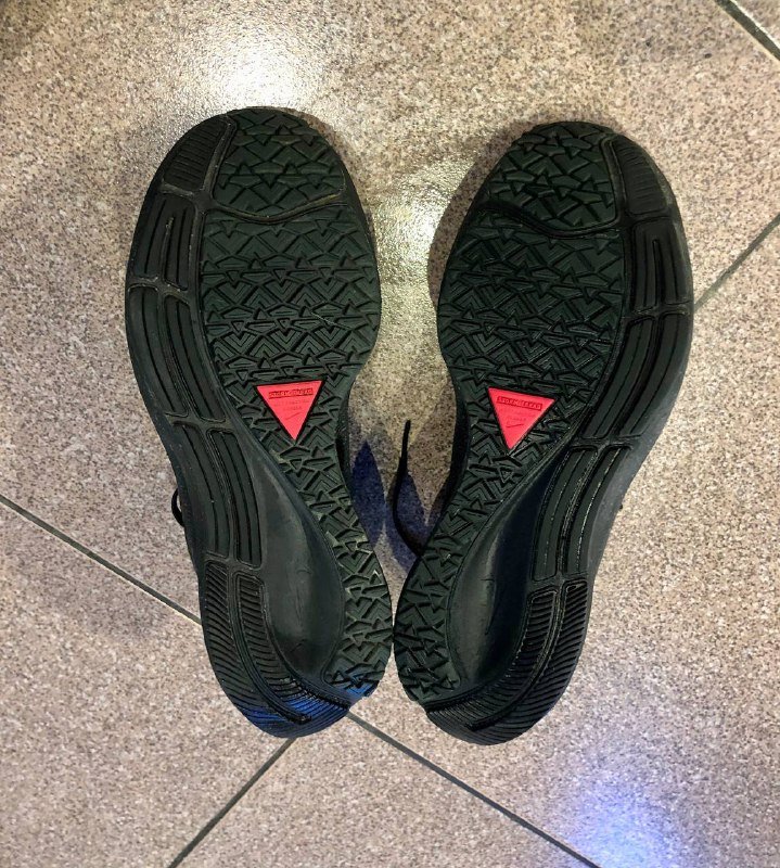 Беговые кроссовки Nike Air Zoom Pegasus 39 Shield 5