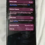 iPhone 16 Pro 256 GB 8