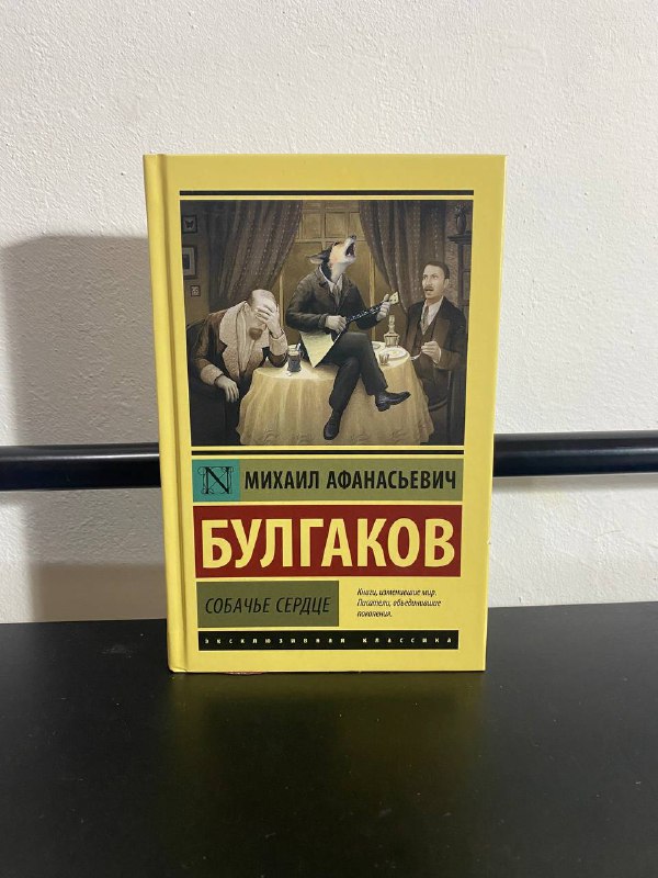 Булгаков «Мастер и Маргарита», Булгаков «Собачье сердце», Гёте «Фауст», Кафка «Процесс», Войнич «Овод», Достоевский «Преступление и наказание», Достоевский «Униженные и оскорбленные» 2