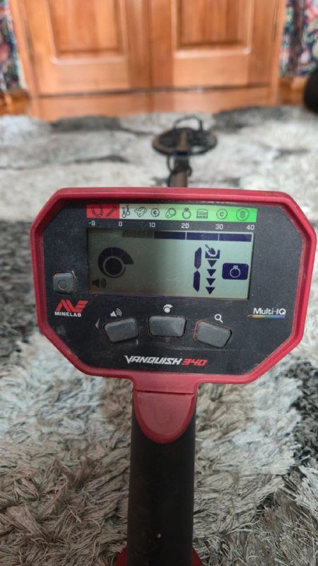 Minelab и Minelab Vanquish 340 металлодетекторы
