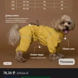 Дождевик для маленьких собак, размер M 2