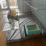 Клетка-конструктор для мелких животных 2
