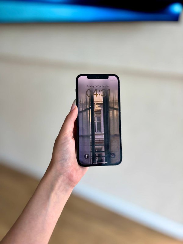 iPhone 12 Pro, iPhone Xr, iPad 7 поколения 1