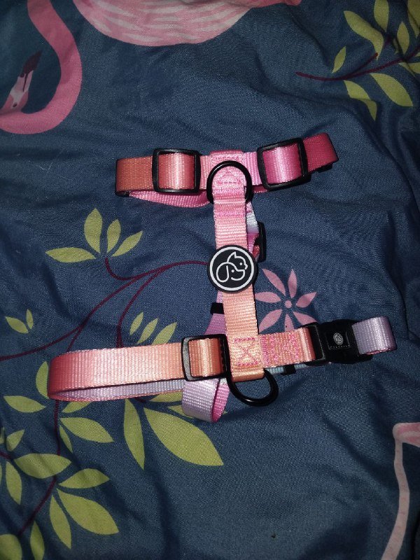 Анатомическая шлейка для собаки размер M 2