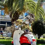 Honda Giorno Crea 1