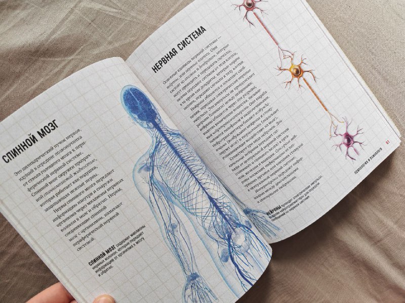 Книга Взлом психологии 8