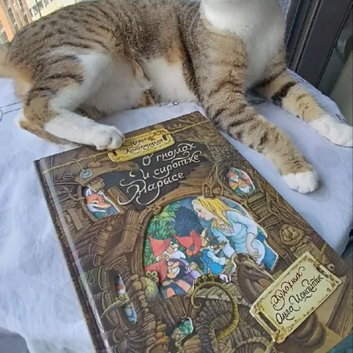 Детская книга Марии Конопницкой О гномах и сиротке Марыси
