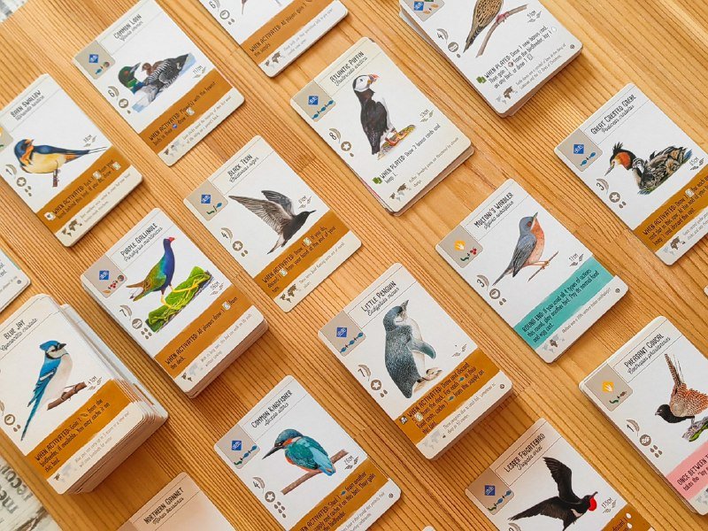 Wingspan настольная игра 7