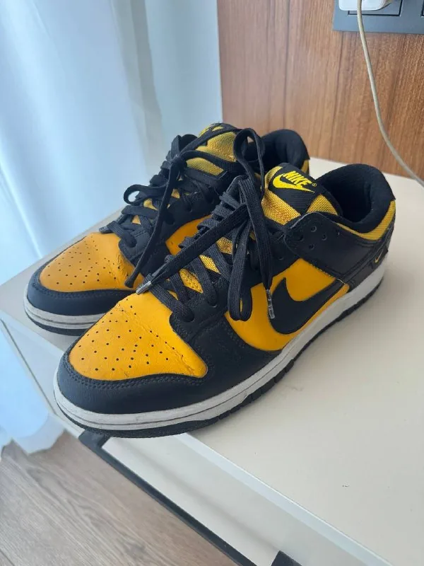 Nike Dunk 1