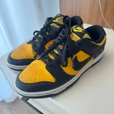Nike Dunk 1