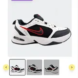 Мужские кроссовки Nike Air Monarch 1