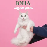 Юна ищет дом 3