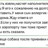 კნუტისთვის დროებითი მოვლაა საჭირო 2