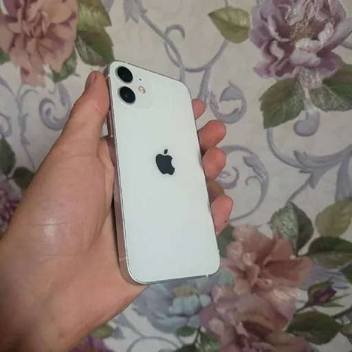 iPhone 12 Mini 256 ГБ