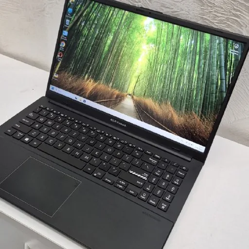 ASUS VivoBook Go 15