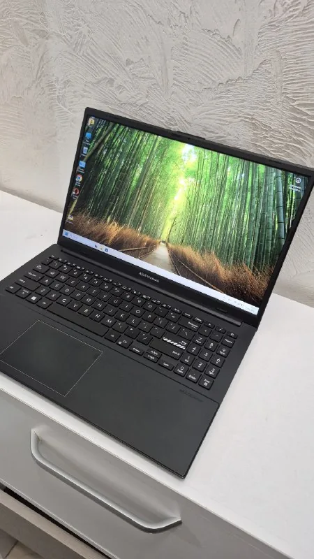 ASUS VivoBook Go 15 1