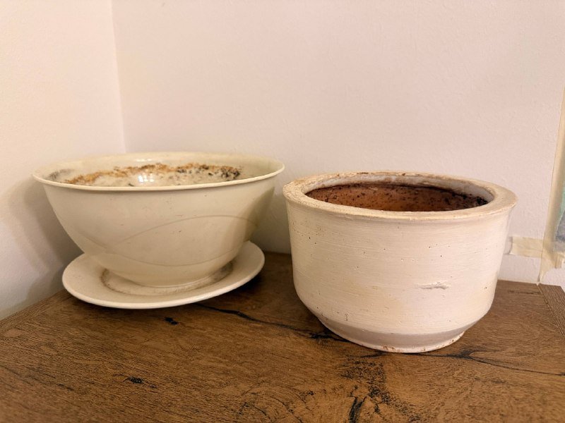 Горшки для растений