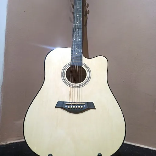 Электрогитара Telecaster, акустическая гитара nt