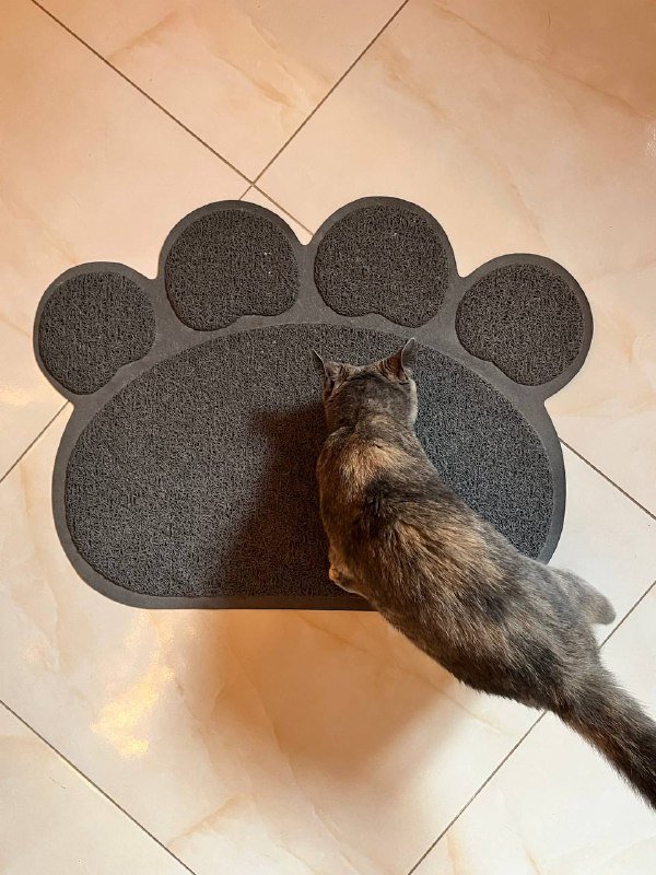 Туалет кошачий с лопаткой, коврик, лоток 3