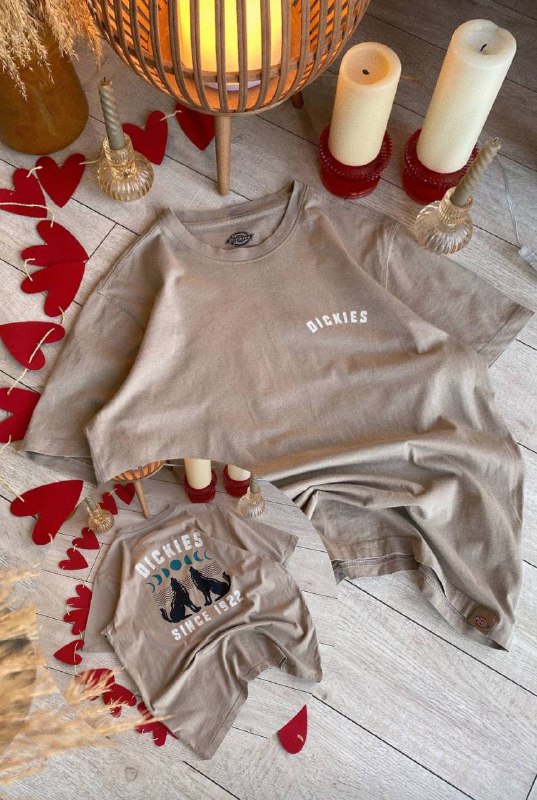 Женские футболки True Religion, Dickies, Ralph Lauren, Stella McCartney, Santa Cruze, Von Dutch, The North Face, Calvin Klein, Diesel 2