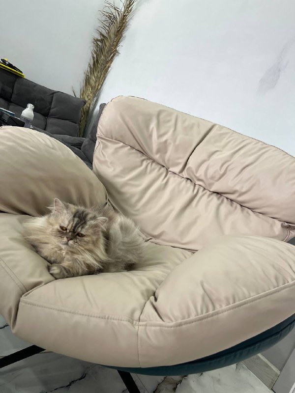 Мягкое кресло бежевое с синей основой