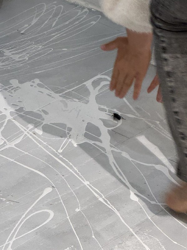 Кружок по интересам, необязательная встреча 3