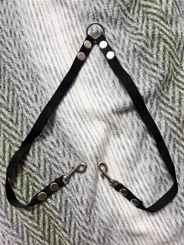 Анатомическая шлейка, поводок, маска от колтунов, расческа, воск, когтерез, декоративное растение 2