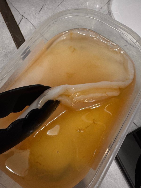 Чайный гриб 2