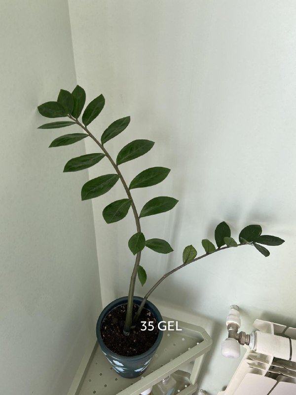 Различные домашние текстильные и декоративные предметы 8