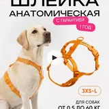 Шлейка pro-comfort xxs 3
