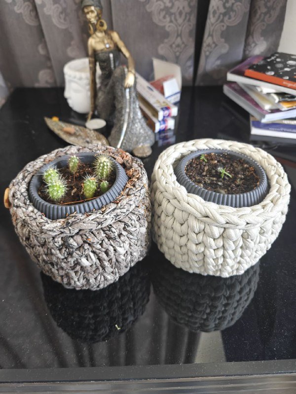 Гирлянда домино, горшки с кактусами, черная тара, графин, горшки с подставками, растение в горшке 2