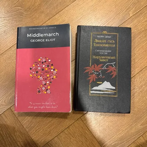 Middlemarch, рассказы японских писателей