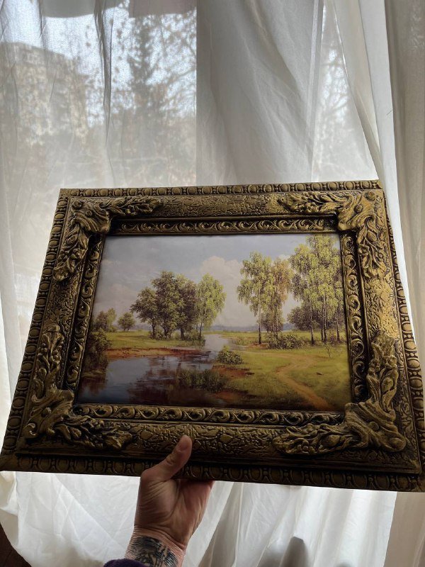 Картины 56х45см две 2