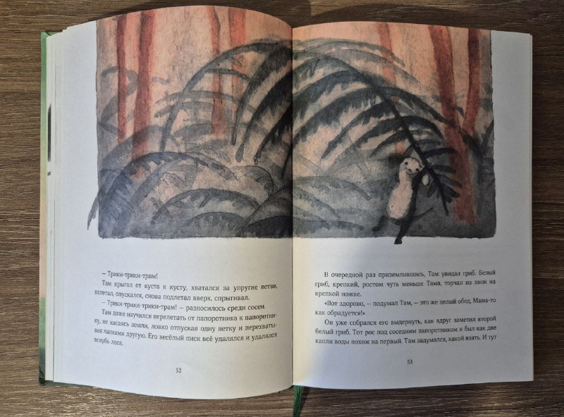 Детская книга Мышонок, который Там 5