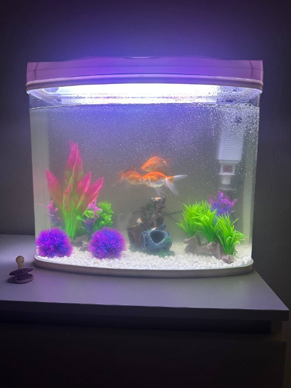 Аквариум 40 литров со светом, фильтром и декорациями